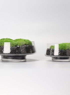 不需要养护永生苔藓WULIFLOWER