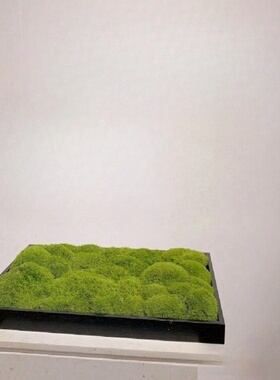 金属黑色方形永生苔藓盆景