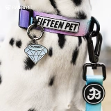 Пятнадцать договоров с домашними животными для домашних животных собак Туяние веревка собака собака поставляется модную талию, ходячие собачьи веревка