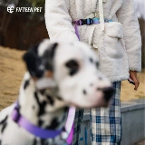 Пятнадцать договоров с домашними животными для домашних животных собак Туяние веревка собака собака поставляется модную талию, ходячие собачьи веревка