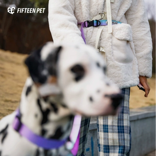 Пятнадцать договоров с домашними животными для домашних животных собак Туяние веревка собака собака поставляется модную талию, ходячие собачьи веревка
