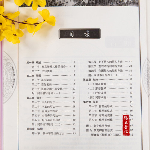 颜真卿楷书教程 颜勤礼碑学生成人书法毛笔入门教程字帖培训教材 - 图0
