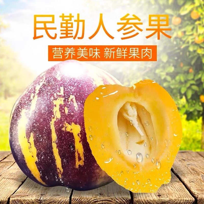 【头茬包邮】甘肃当季水果人参果新鲜水果低糖黄皮黄肉现摘现发,淘宝优惠券,粉丝福利购,淘宝优惠卷