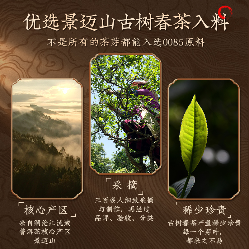 【新品】澜沧古茶0085小胖饼2024年普洱茶熟茶景迈山古树纯料85g - 图0