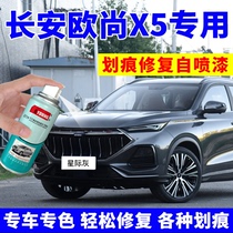 Long ANO Shang X5 Complementary Lacquer Pen Interstellar Grey Self Spray Painting Car Scratchback Repair car Lacquer Haoyu Blue Vanguard Mango White