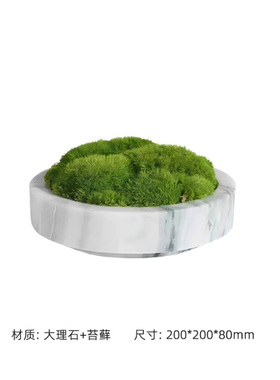 模型书花艺组合陈列搭配装饰摆件