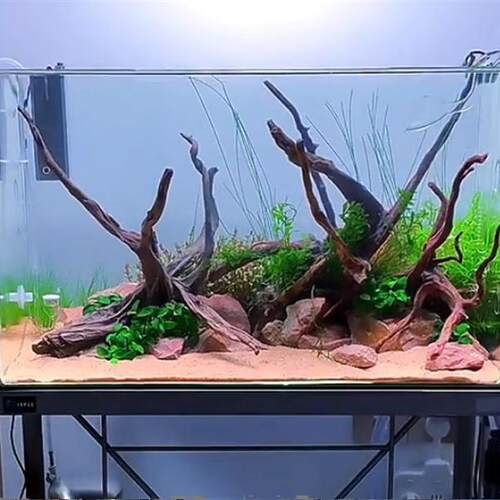 鱼缸底砂水晶沙造景沙石天然河沙铺底水族装饰黄金沙溪流沙子底沙 - 图2