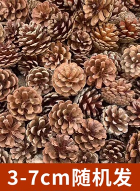 天然松果干花DIY圣诞装饰材料