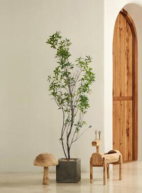 仿真大型马醉木盆栽室内民宿餐饮门店装饰假绿植落地植物摆件