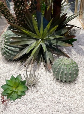 仿真绿植造景装饰组合百搭植物