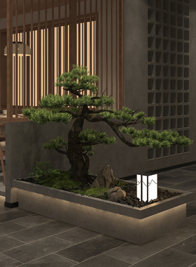 仿真迎客松新中式景观罗汉松造景