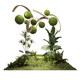 Moss ball landscape window decoration landscaping