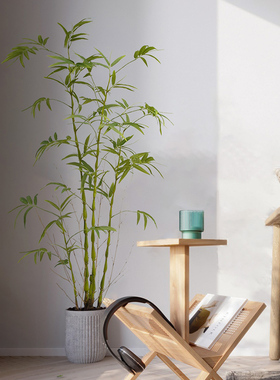 仿真竹子中式风格客厅植物摆件