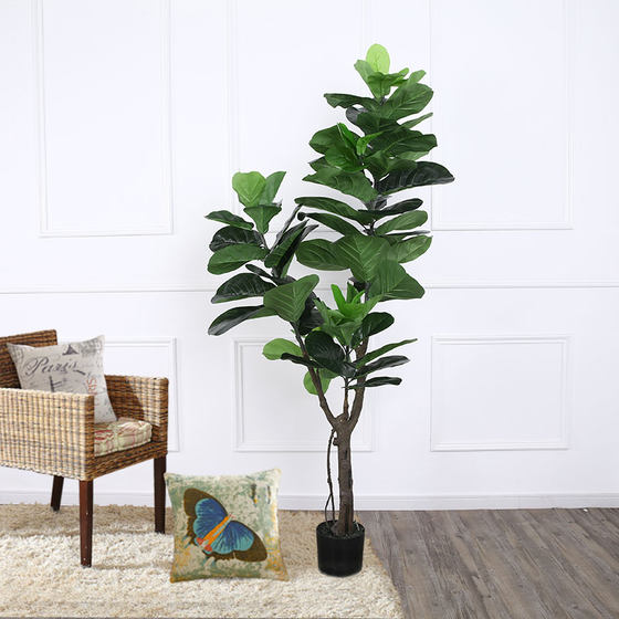 Tropical Ficus Traveler Floor-standing Ornament Simulated Plant