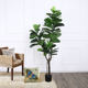 Tropical Ficus Traveler Floor-standing Ornament Simulated Plant