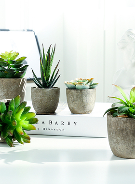 北欧风迷你植物多肉室内假塑料花