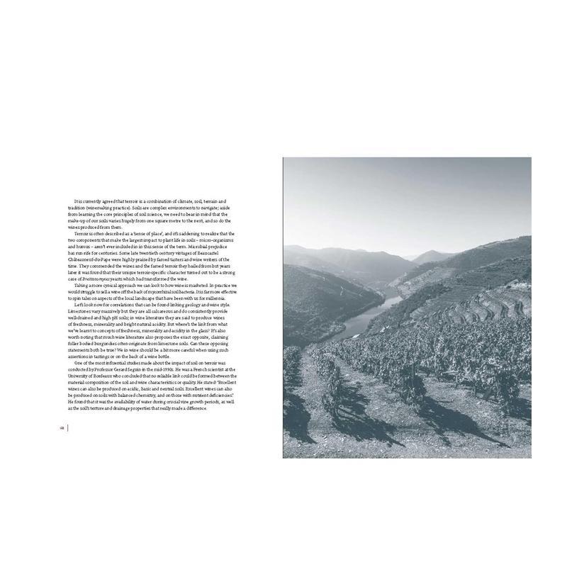 【预售】愤世嫉俗者的葡萄酒指南 The Cynic's Guide to Wine 原版英文餐饮生活美食 - 图0