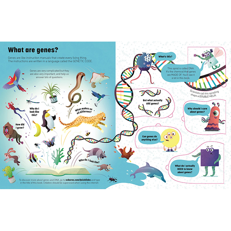 【预售】【See Inside】Genes & DNA，【翻翻书】基因及DNA 英文原版图书籍进口正版 Laura Cowan and Neil Clark 儿童趣味 - 图1