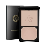 Тональный крем, пудра, контроль жирного блеска, 9г