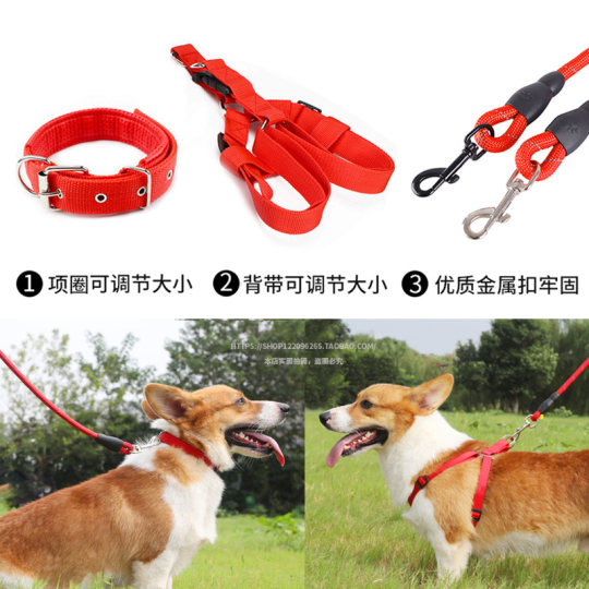 Dog leash large, medium and small dog walking leash