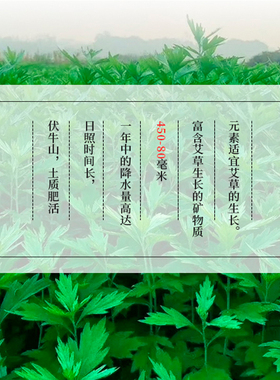 红花加药雷火灸美容院专用