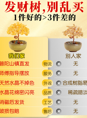 【普陀山直发】天然黄水晶发财树