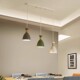 Package installation of dining room chandelier three-head dining room light