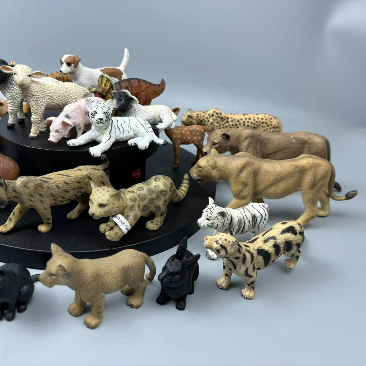 德国仿真野生家畜动物绵羊牛猪羊羔奶牛模型玩偶儿童认知玩具瑕疵,淘宝优惠券,粉丝福利购,淘宝优惠卷