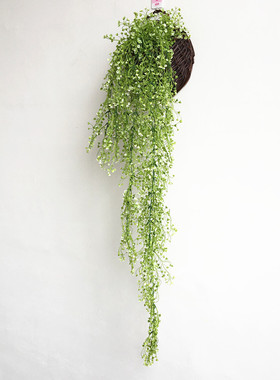 藤条金钟柳墙面装饰花卉仿真植物