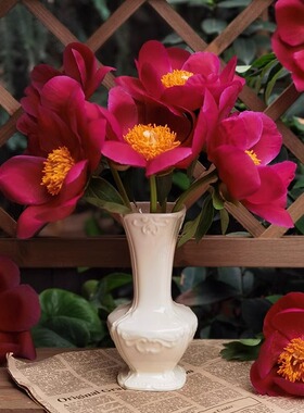 法式陶瓷花瓶 简约欧式浮雕客厅摆件装饰品 插花鲜花干花瓶高级感