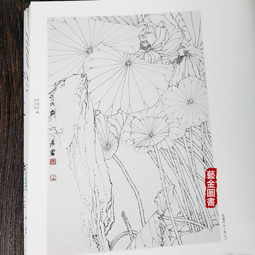 未君清塘荷韵 唯美白描精选 未君绘 白描荷花花卉画技法作品集 白描画稿花卉画教程 福建美术 - 图3