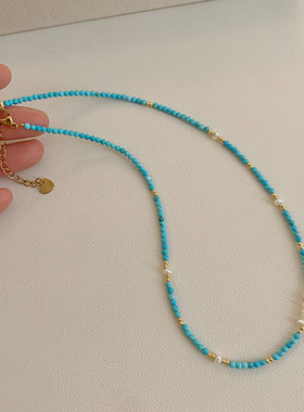 天然淡水珍珠绿松石串珠项链女2025新款时尚轻奢锁骨链颈链配饰品