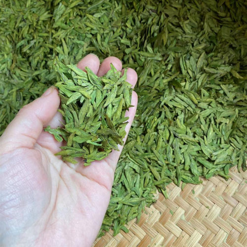 现货龙井2026新茶春茶绿茶 明前龙井头芽乌牛早龙井茶叶清香豆香 - 图3
