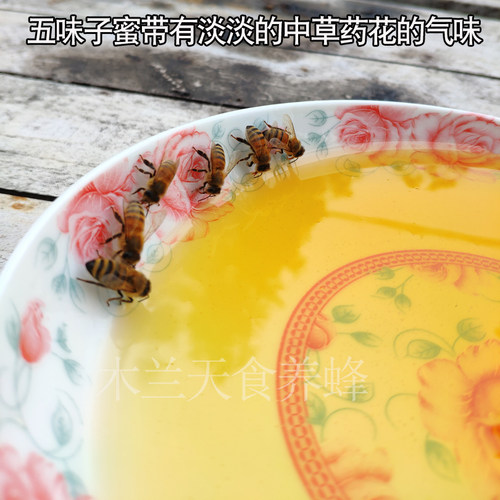 2025新鲜蜂农自产天然野生蜂蜜 药花五味子蜂蜜封盖成熟正宗2斤装 - 图1