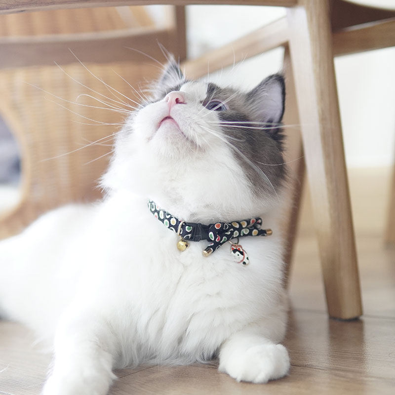 猫咪世界日本进口猫咪项圈项链日式犬张子挂坠祈福健康成长_虎窝淘