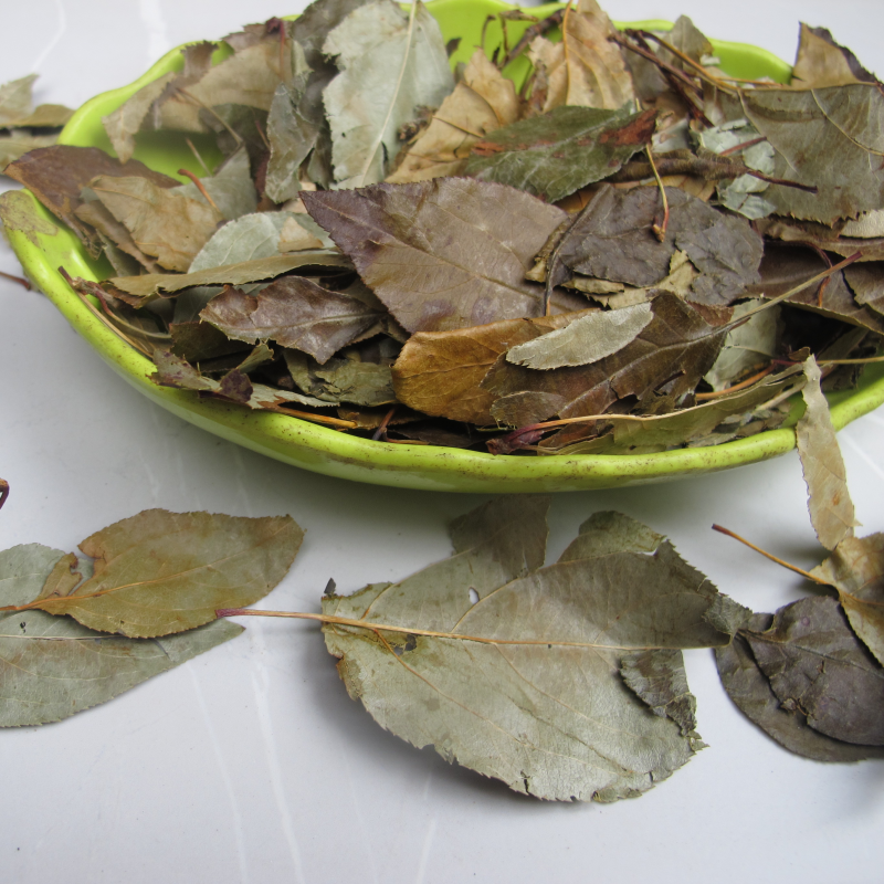 三皮罐茶叶凉茶新货湖北海棠叶茶大碗茶大叶茶一匹罐野生三匹罐茶 - 图2