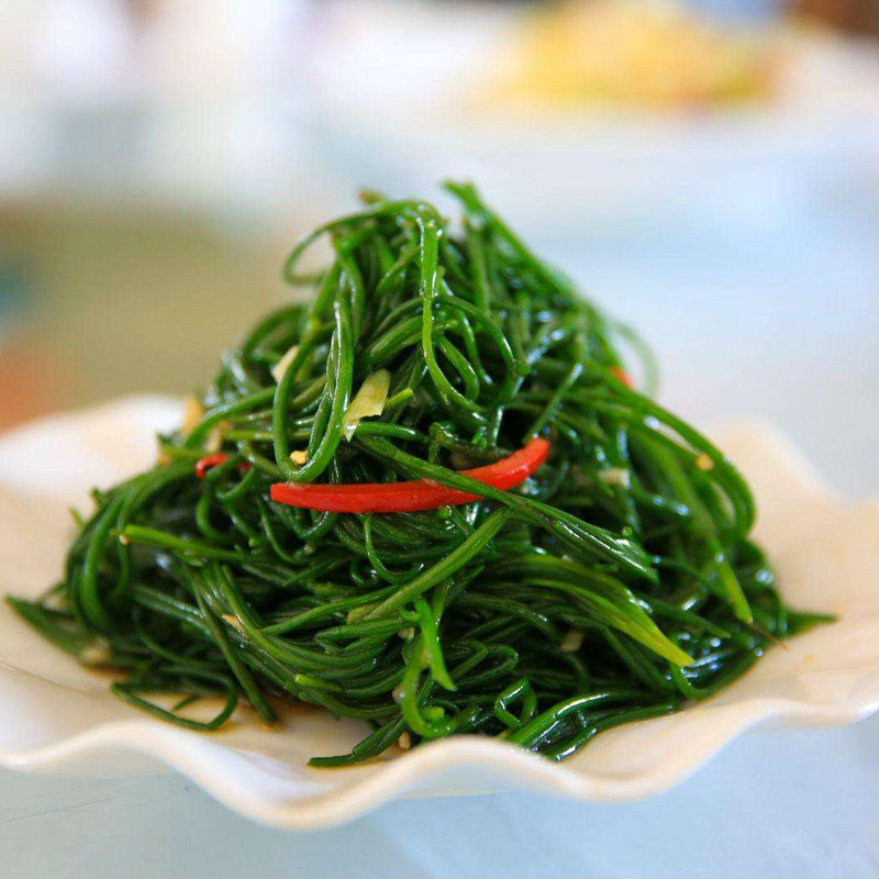 【顺丰包邮】沙葱新鲜甘肃沙葱新鲜沙葱特产蔬菜新鲜蔬菜野菜小葱,淘宝优惠券,粉丝福利购,淘宝优惠卷