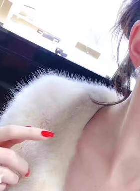 幸运草耳钉威尔娜斯纯银M家同款