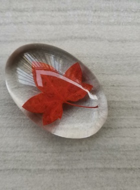 透明树脂摆件昆虫海洋植物标本