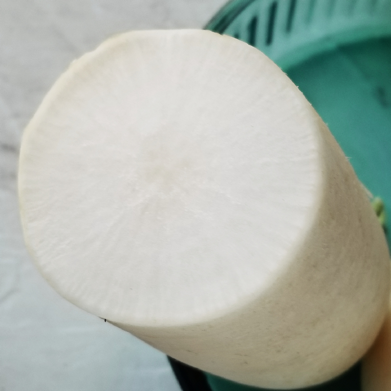 臻印映夏雪芳白萝卜天养自然生长清甜无渣去热火养生煲汤约1斤/个,淘宝优惠券,粉丝福利购,淘宝优惠卷