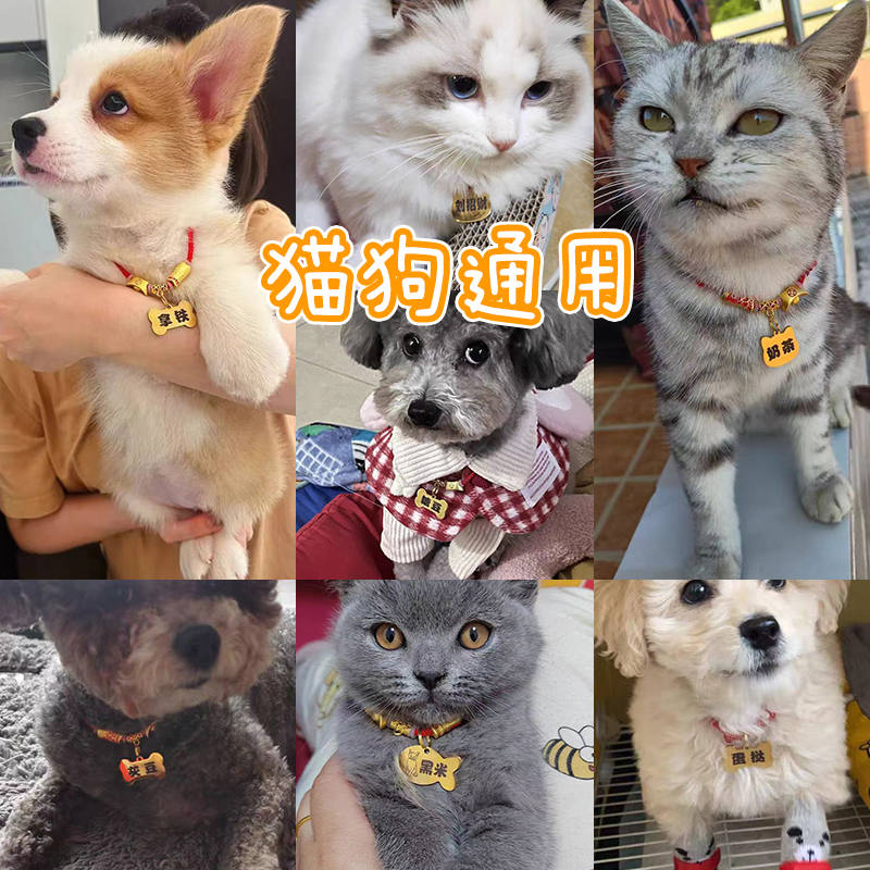 狗狗牌身份牌定制宠物猫咪小型犬泰迪犬防走丢牌刻字手工项圈吊牌 - 图1