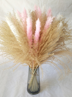 拂尘小芦苇干花花束家居装饰摆件