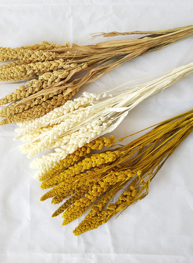 小米真花风干干花束客厅摆件