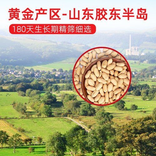 正宗山东沂蒙特产春旺花生咸味花生坚果礼盒 8罐*150克礼盒装 - 图1