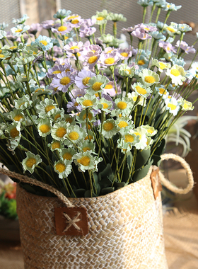 田园美式仿真拍照道具干花小雏菊