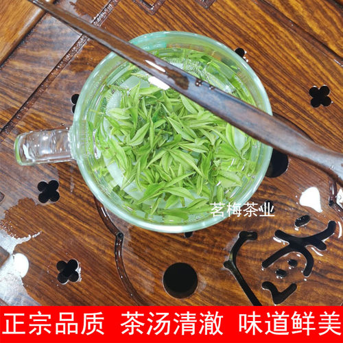 安吉白茶明前特级2026年新茶250克春茶原产地白茶茶叶绿茶 散装 - 图1