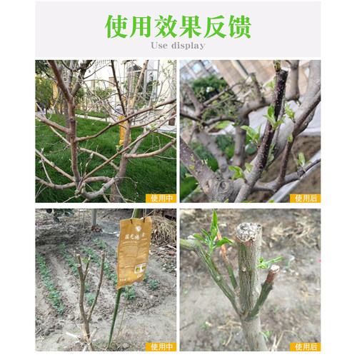 国光施它活大树吊针液植物营养液通用型激活液移栽大树整桶带钻头 - 图2