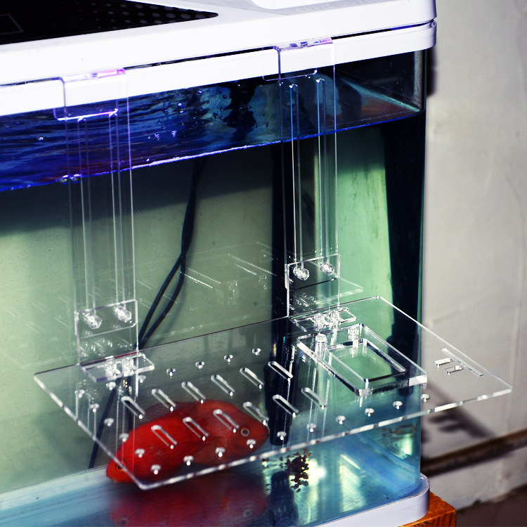 亚克力乌龟平台爬台乌龟晒背台带食槽透明白色多色吸盘挂钩可选,淘宝优惠券,粉丝福利购,淘宝优惠卷