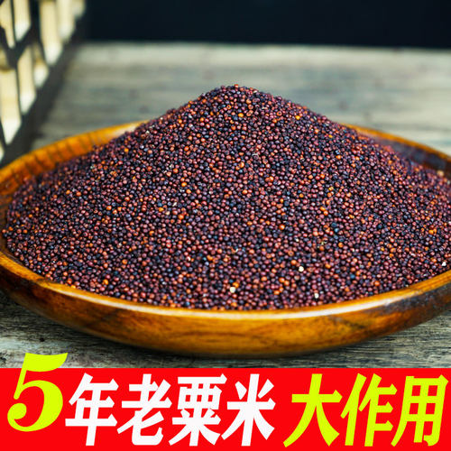 广西陈年粟米粟粉种子拳头粟龙爪鸭脚粟掺子婴儿枕头红啤米杂粮粥 - 图0