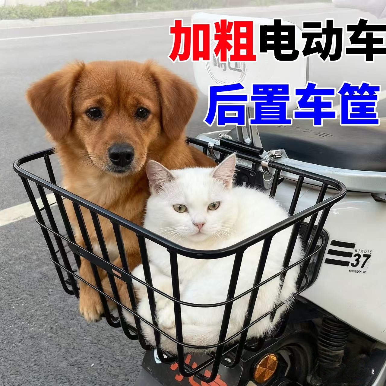 电动车后置车筐电瓶车后车筐放东西神器书包头盔收纳置物篮子后框,淘宝优惠券,粉丝福利购,淘宝优惠卷